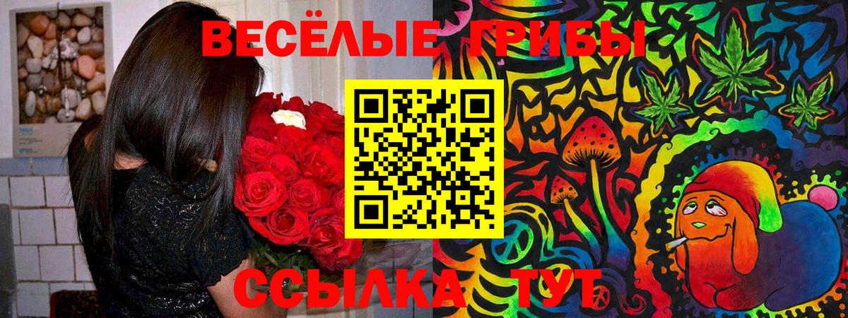 Кумертау  Псилоцибиновые грибы прущие грибы  Вход с VPN 